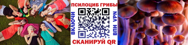 Купить закладки  Белая Холуница  Псилоцибиновые грибы прущие грибы 